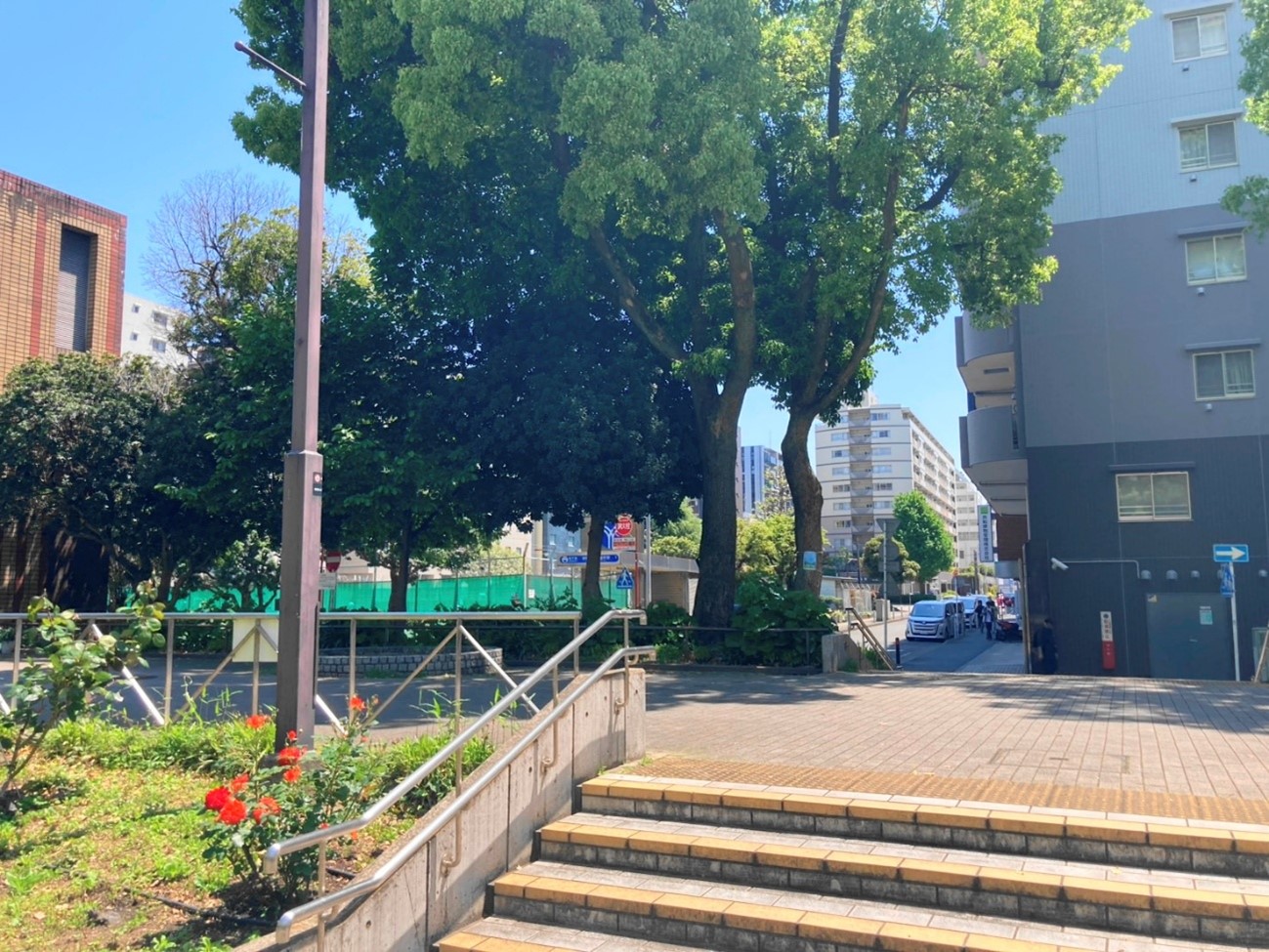 大通り公園